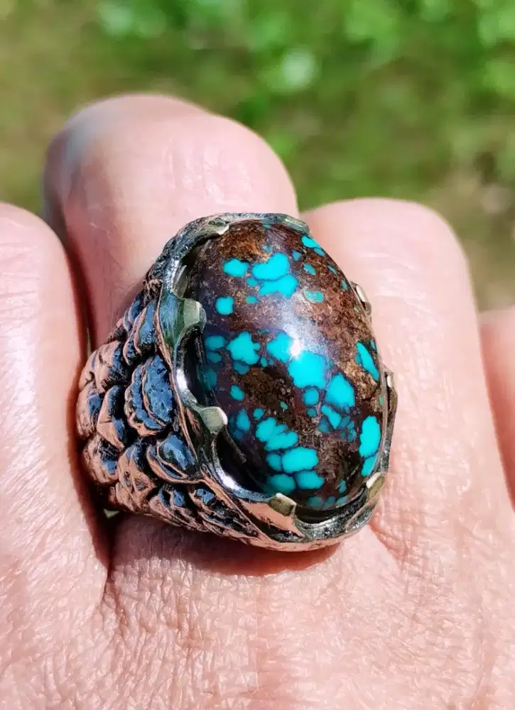 Pirus persia lawasan jumbo