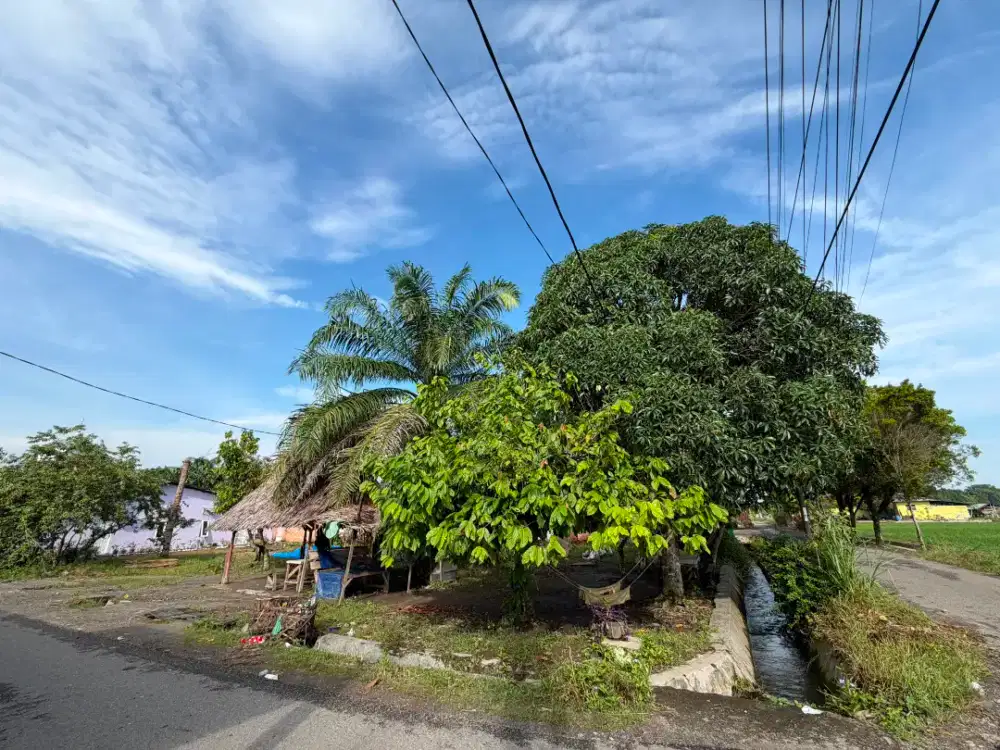 Dijual Tanah Strategis Binjai Timur