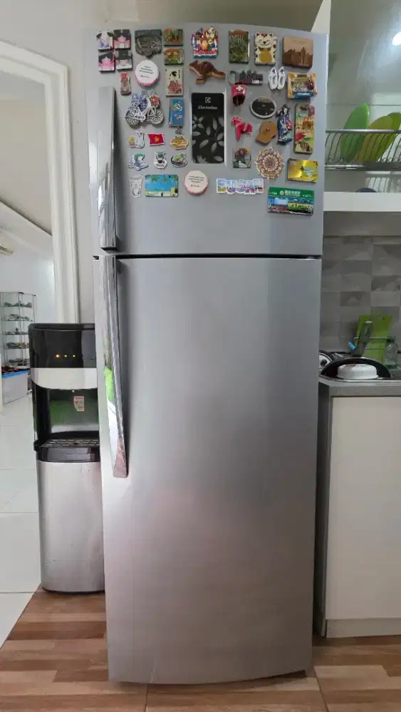 Kulkas 2 Pintu Electrolux Type ETB3500PE