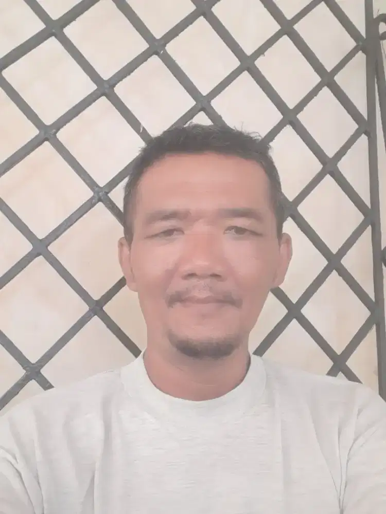 Saya mencari pekerjaan sebagai sopir pribadi