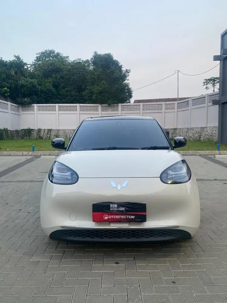 Wuling binguo EV 2024 long range