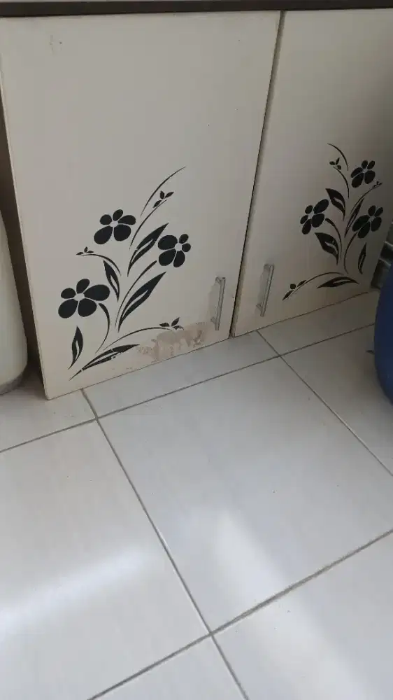 Lemari Dapur Tempel Dinding 2 Pintu