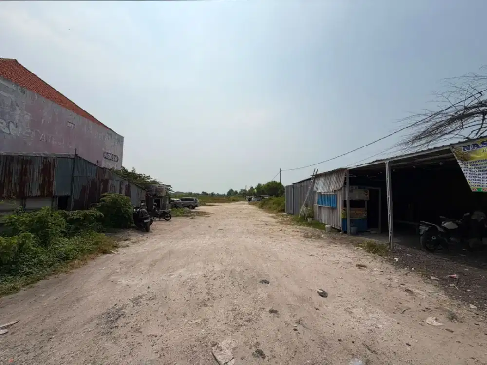 Tanah Luas dan Strategis di Kawasan Manyar, Gresik Dekat dengan Gerbang Tol Manyar