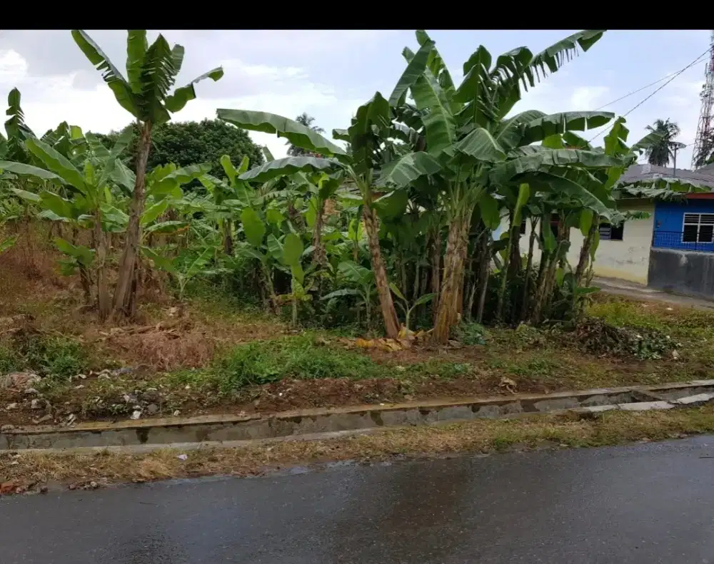Dijual Tanah, 1700m Medan Johor