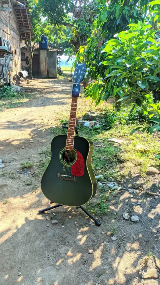 Gitar Akustik Cort AD810 High Quality Baru