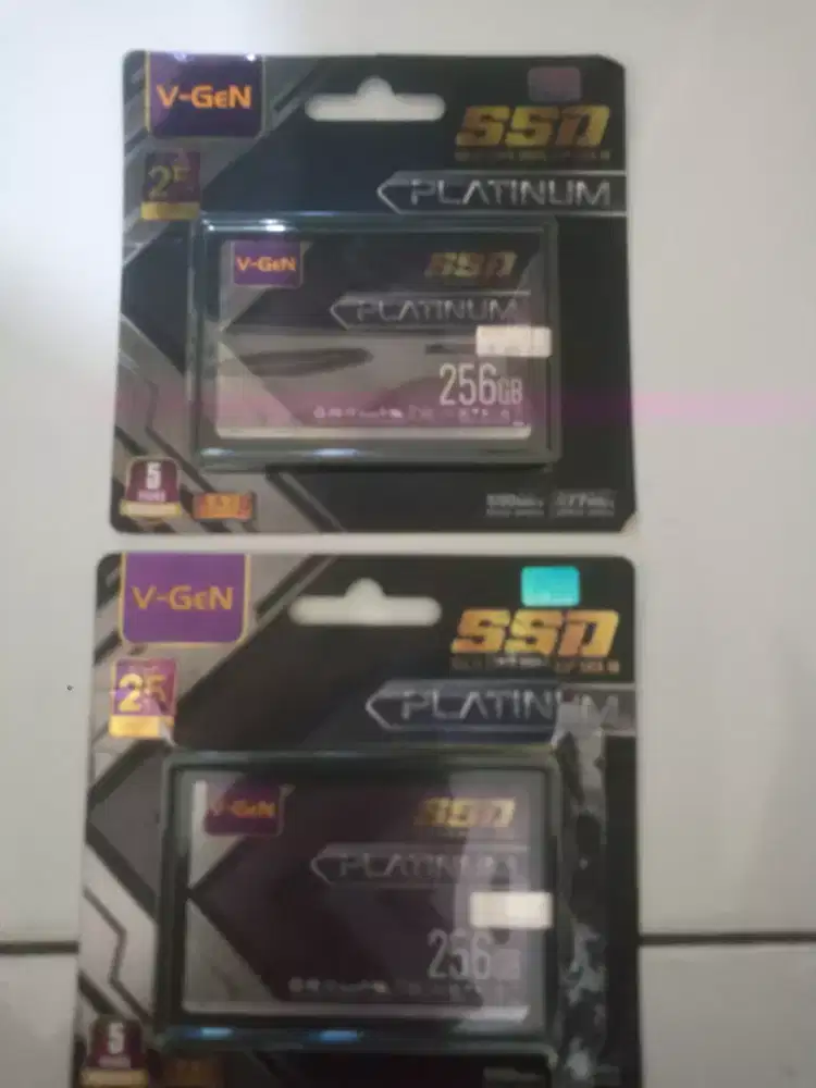 V-Gen SSD 256GB platinum