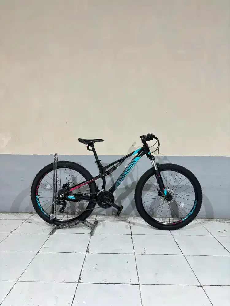 POLYGON RAYZ 3 TAHUN 2024
