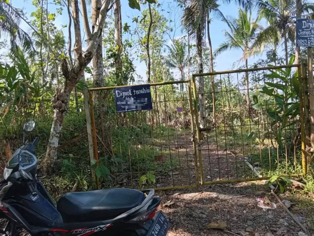 Dijual tanah lokasi dsn kr.endep ds notog