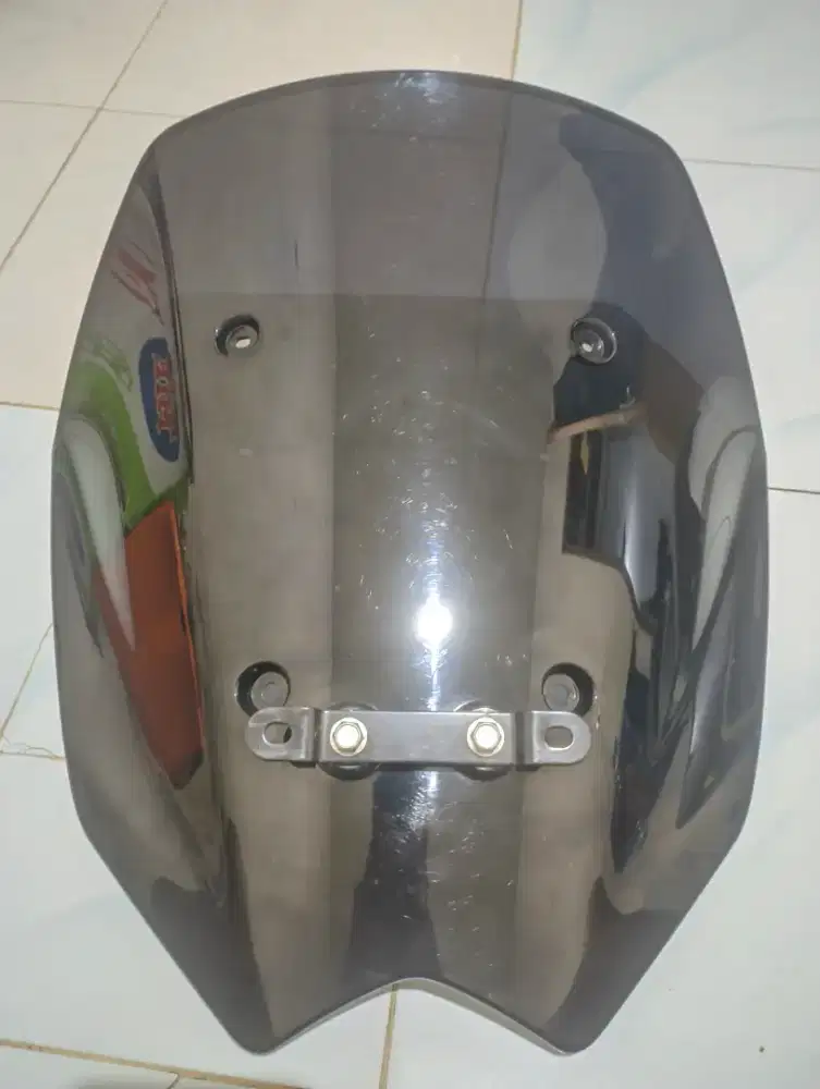 Windshield / visor
