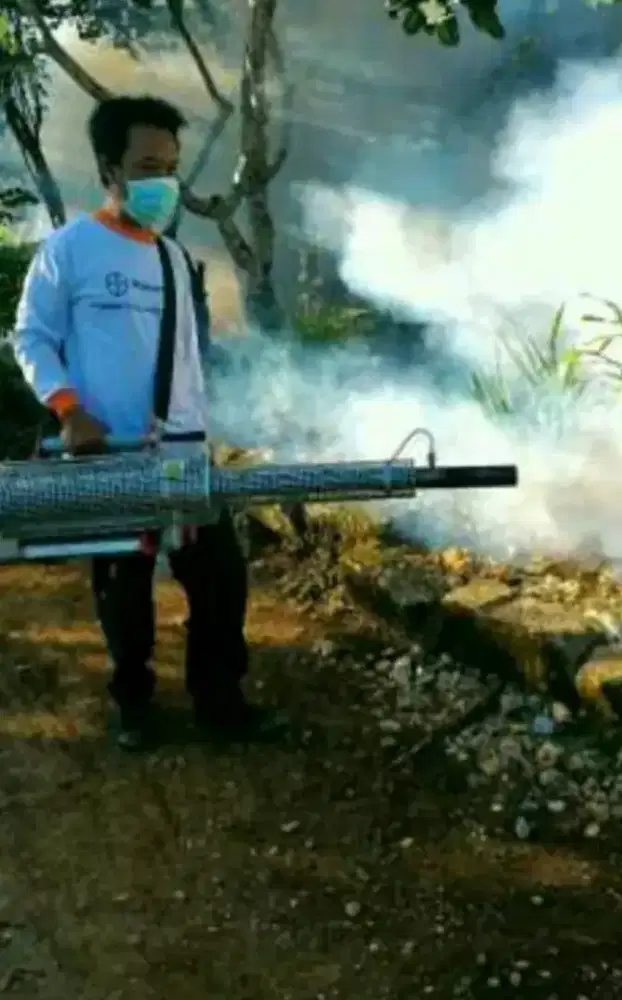 Fogging nyamuk dan anti rayap