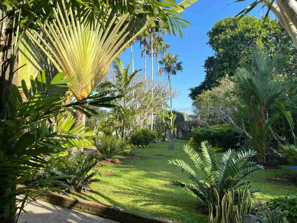Villa Taman Terawat Hitung Harga Tanah di tengah kota Canggu - Thumbnail 5