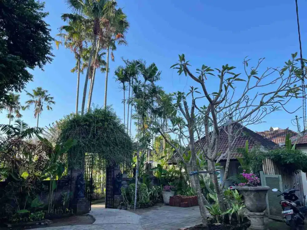 Villa Taman Terawat Hitung Harga Tanah di tengah kota Canggu - Thumbnail 3