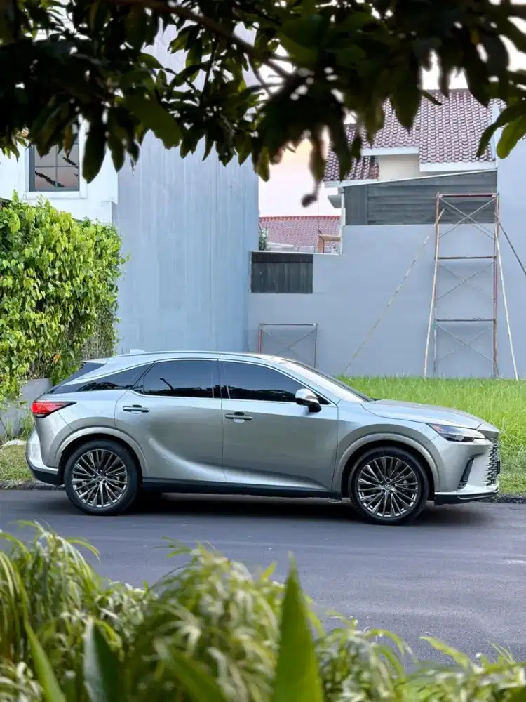 Istimewah ! RX350h Sonic Nik 2023/2024