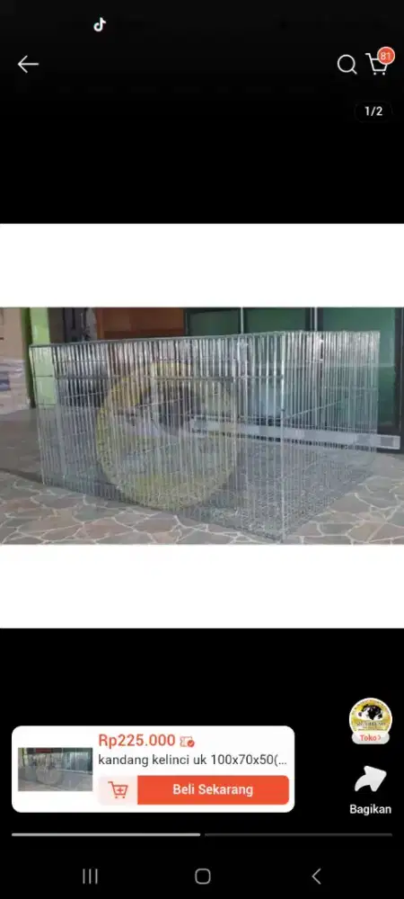 kandang kelinci galvanis