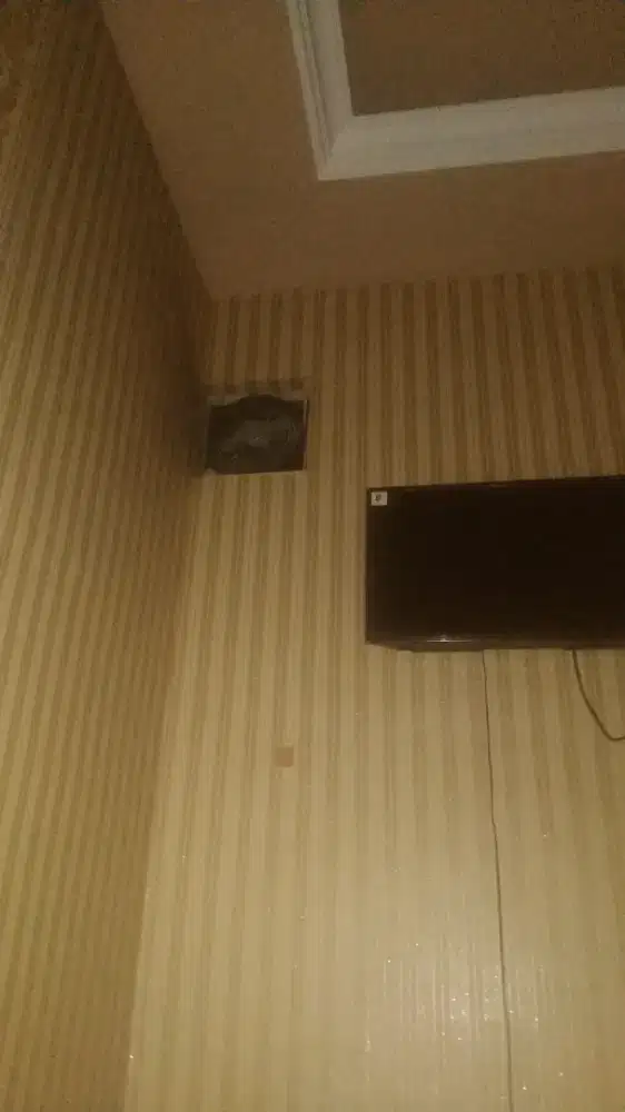 OFFICE BOY HOTEL