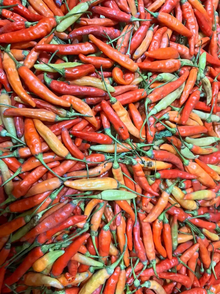 Cabai Rawit Merah Murah 1kg