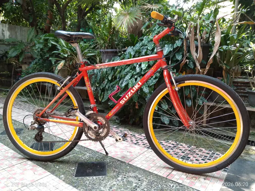 Suzuki Tech 1000 Cross Country