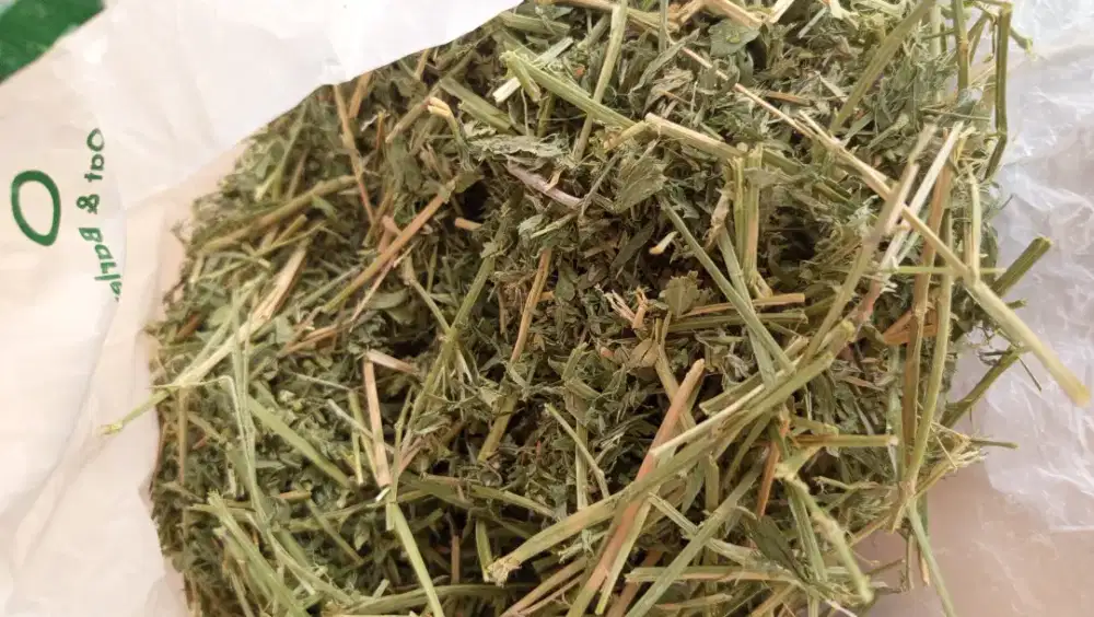 DIJUAL ALFALFA HAY (BRAND ALFALFA KING)