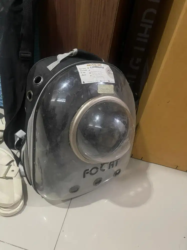 Tas astronot buat kucing