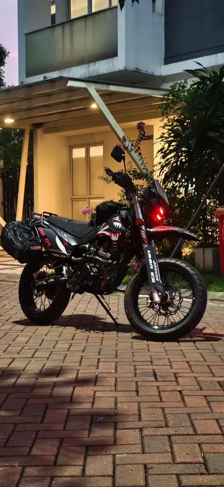 VIAR CROSS x 150