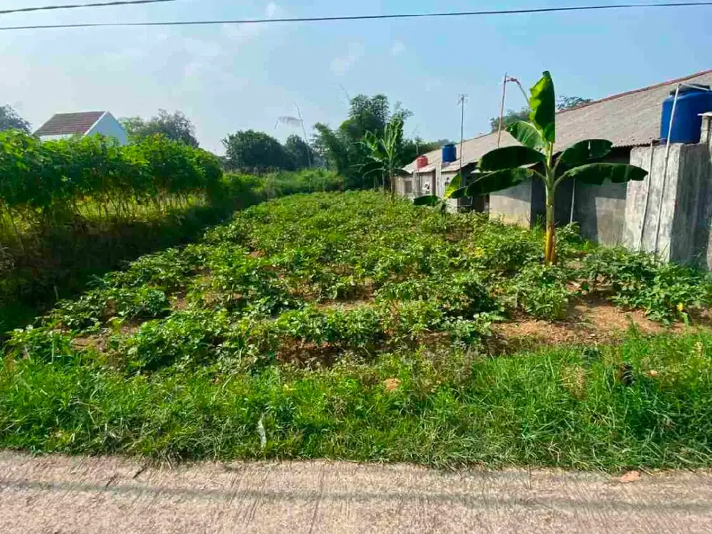 DI JUAL TANAH DARAT MURAH