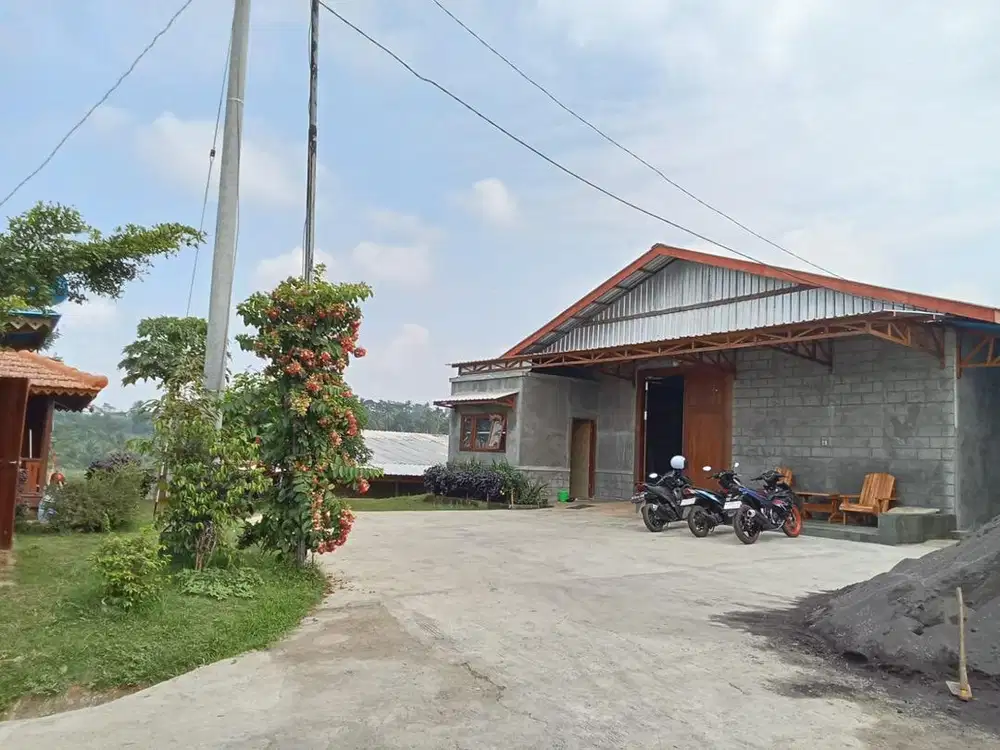 Jual Kandang Puyuh
