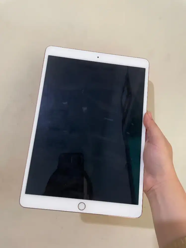 iPad Pro 10.5 inch cell + wifi 256gb (Second)