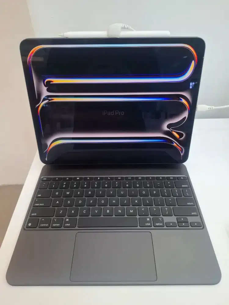 iPad Pro 11 6th Gen Wifi 256GB M5