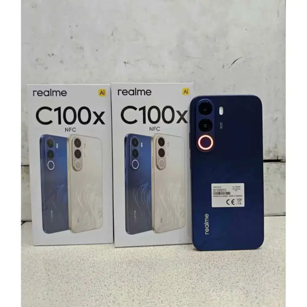 HANDPHONE REALME C100X