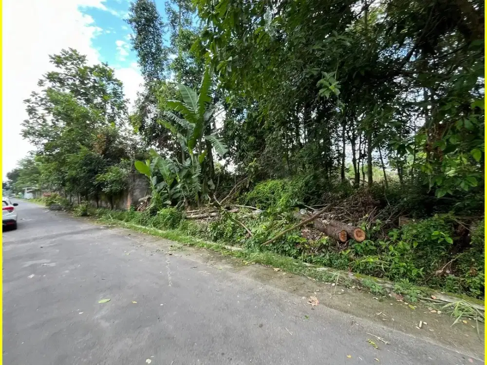 Tanah Jogja di Jl. Raya LPMP Dekat Candi Kedulan