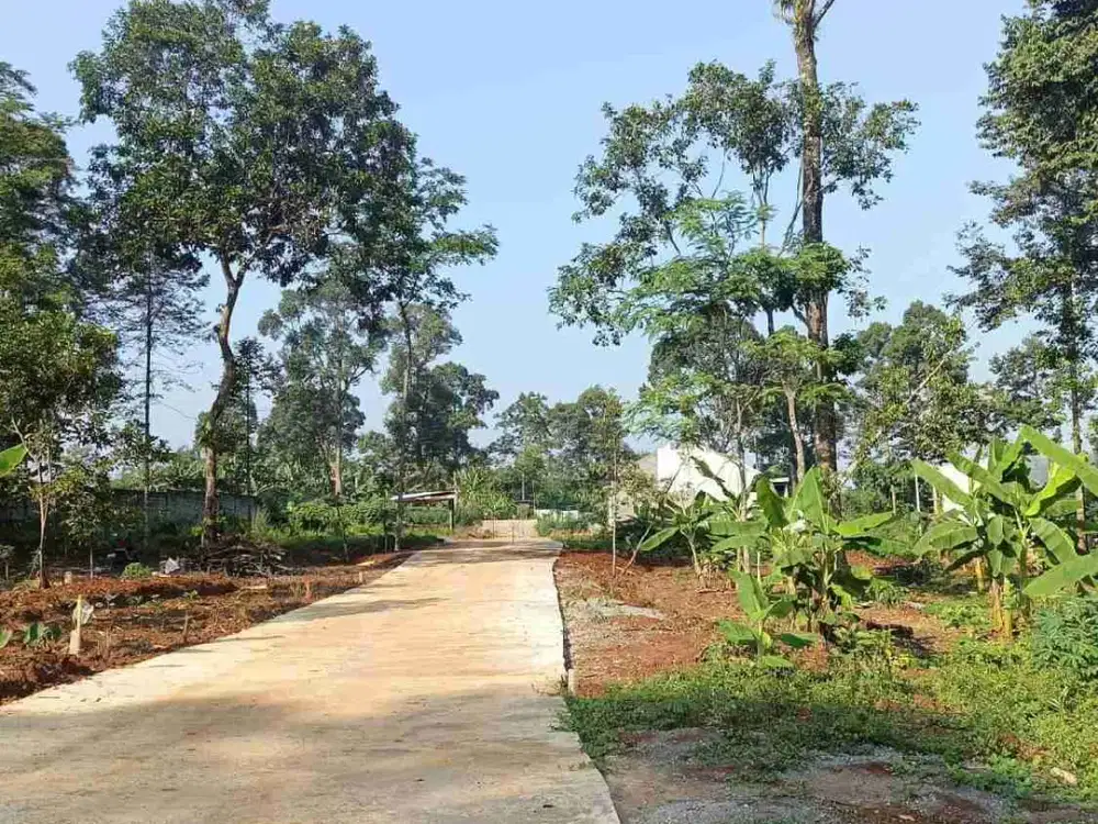 tanah murah gunungpati