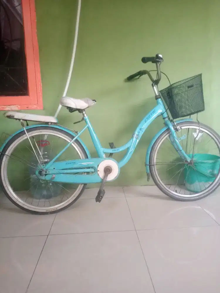 Sepeda keranjang remaja dan dewasa