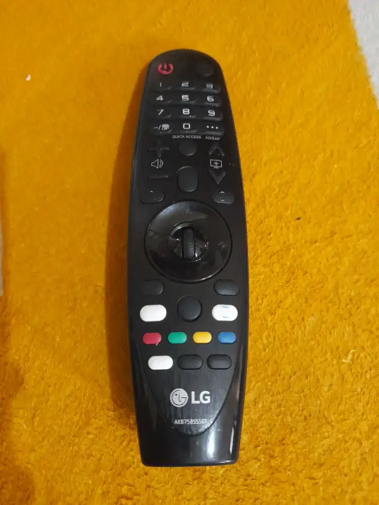 LG Magic Motion Remote