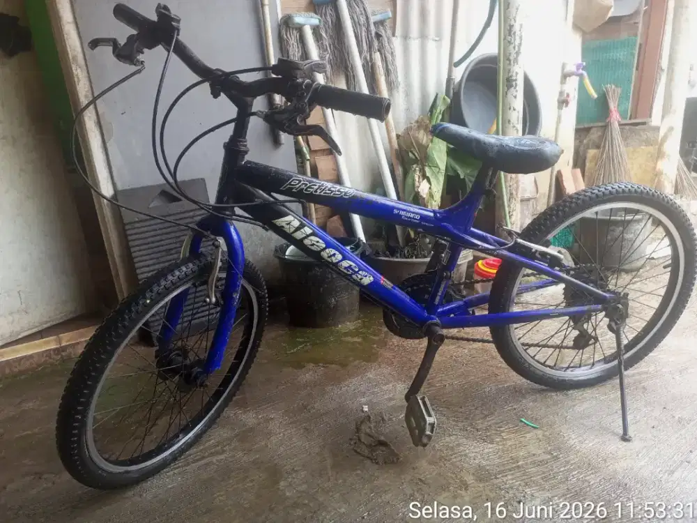 Sepeda gunung anak aloeca