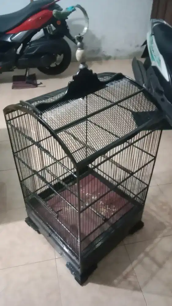 Sangkar kosan uk 50 x 50