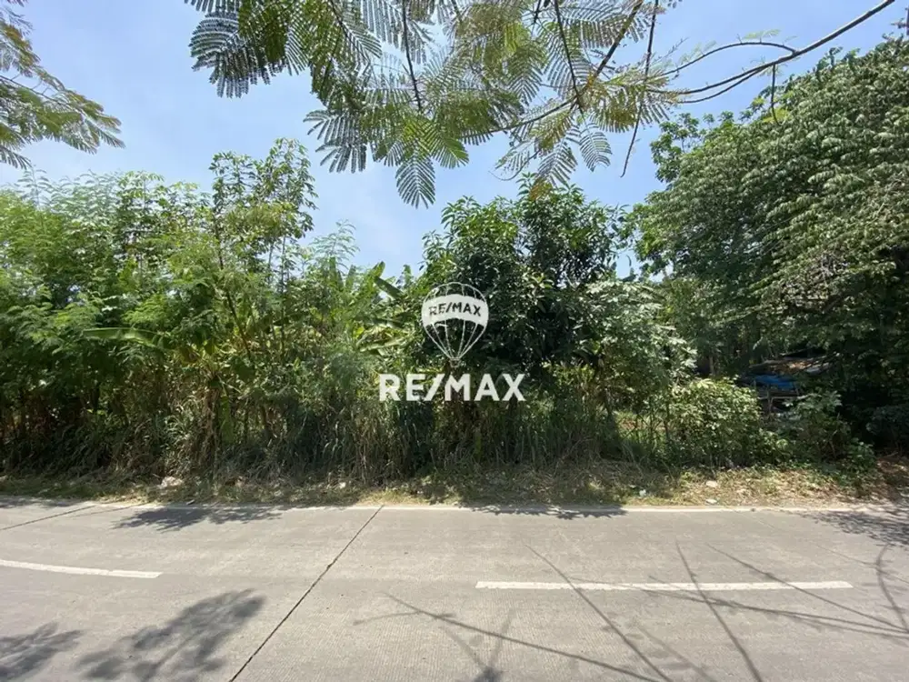 JARANG ADA! Kavling Murah Dekat Bintaro & BSD, Tangerang Selatan