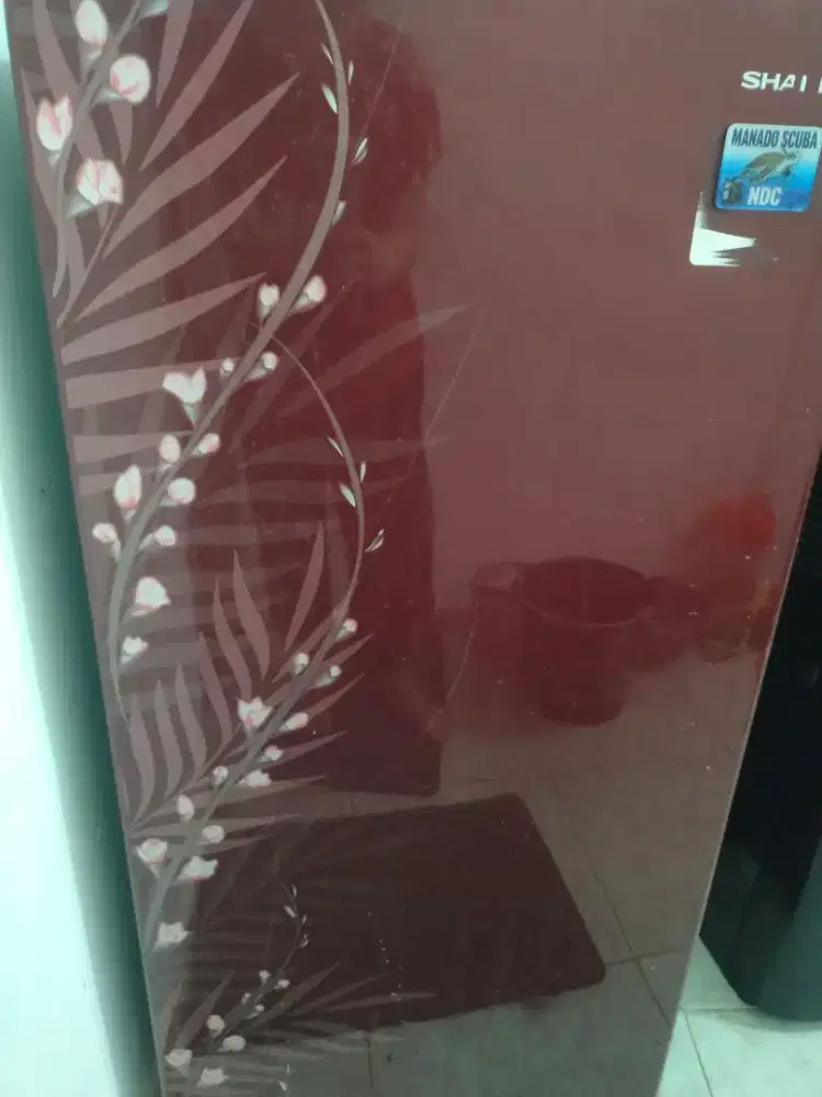 Kulkas Sharp 1 Pintu