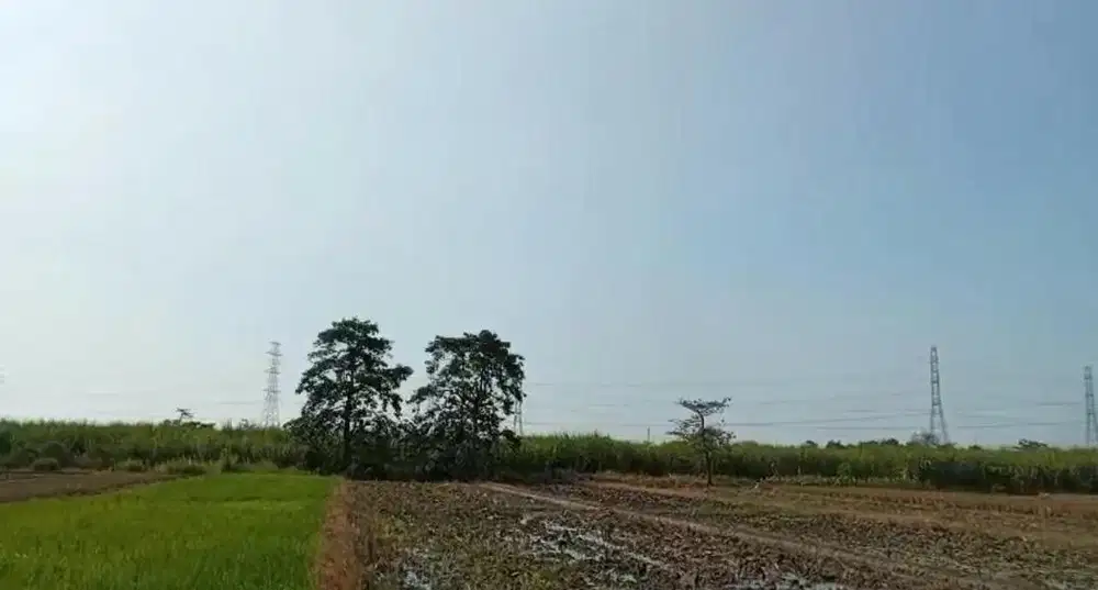 Jual tanah murah 2200m2, 180rb/meter
