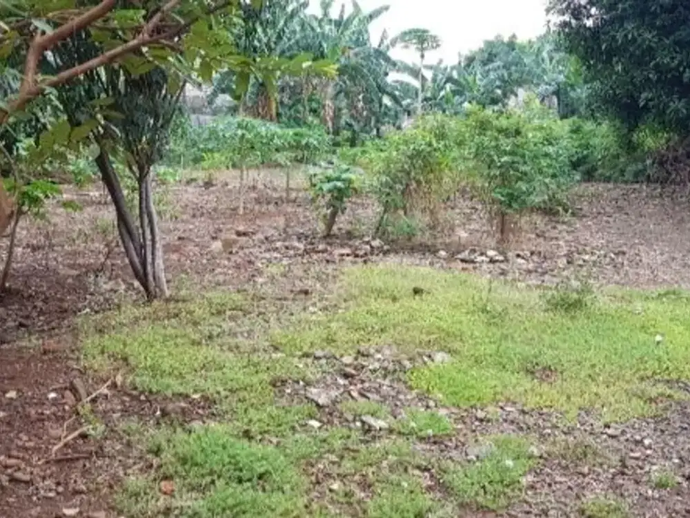 TANAH 2557 M2  MURAH DI CIPETE JAKARTA SELATAN COCOK UNTUK CLUSTER