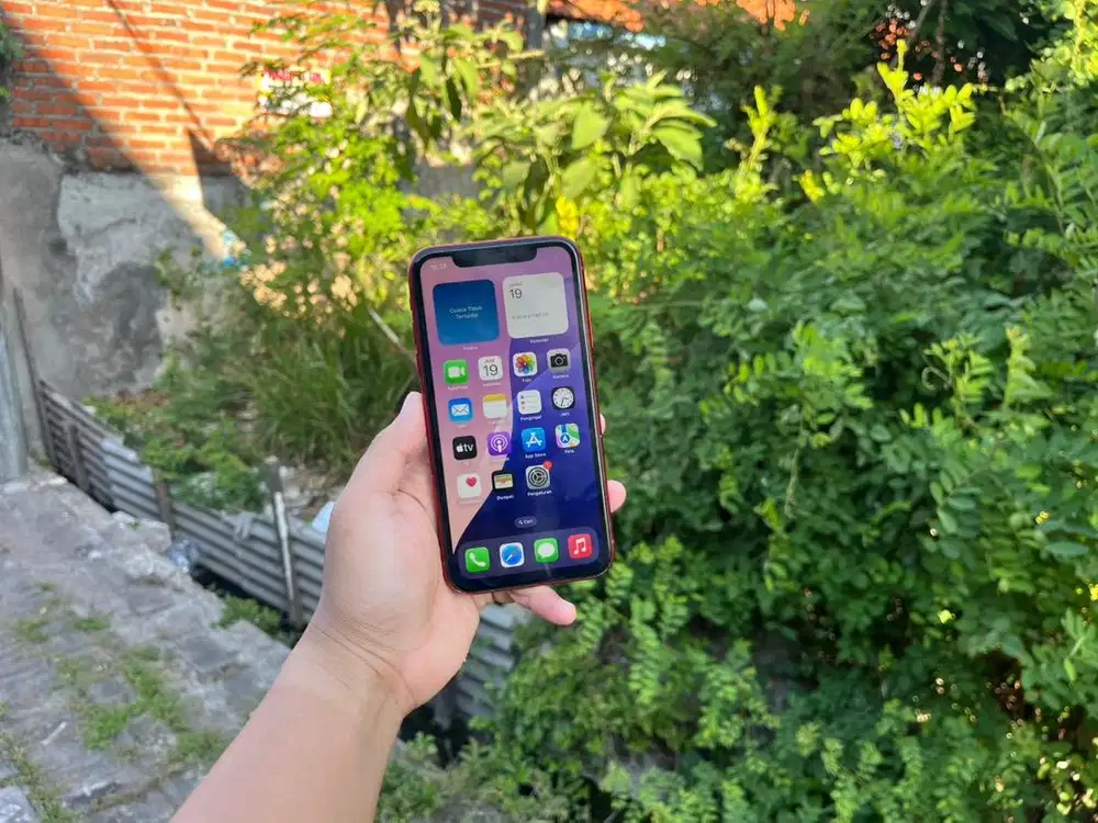 iPhone Xr 64 Gb Kememperin