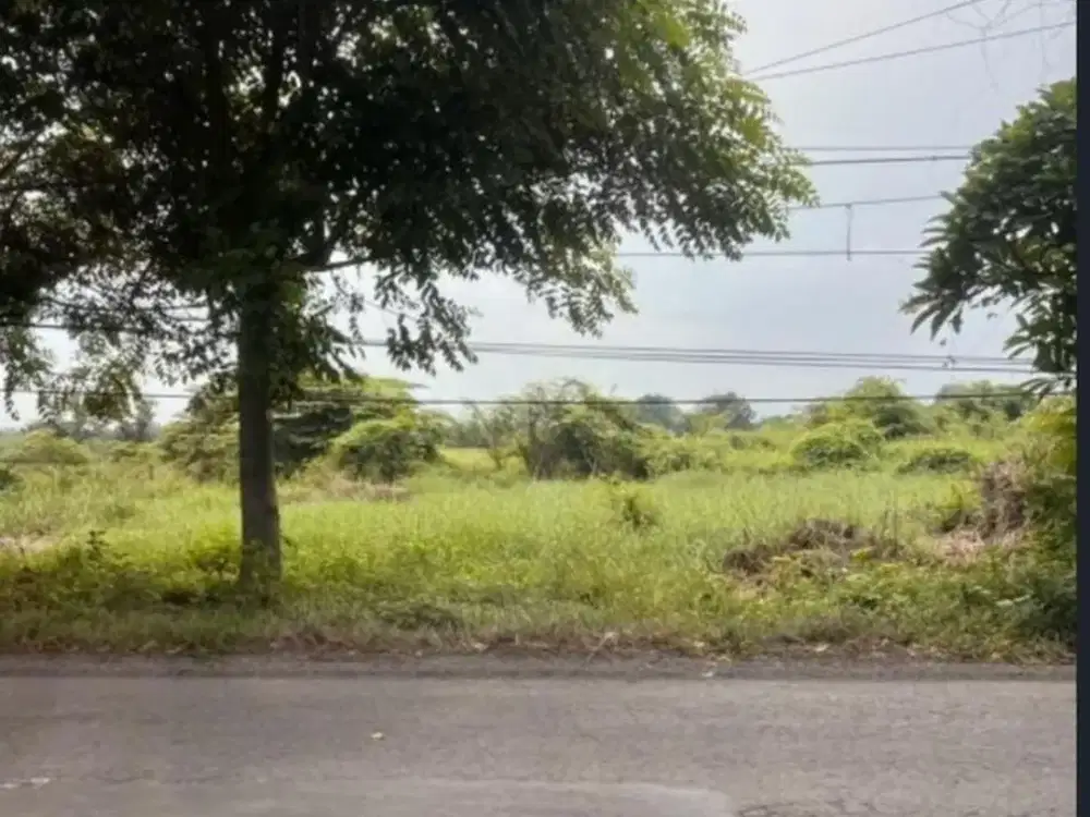 Dijual Tanah Kavling Raya Lingkar Timur Sidoarjo Strategis Siap Pakai