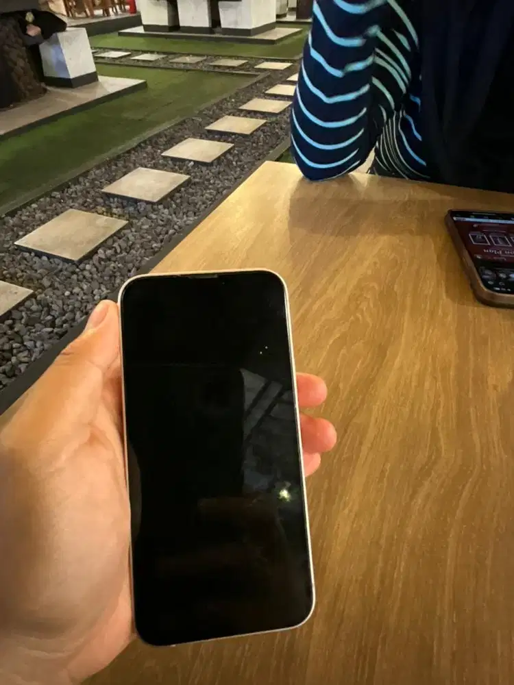 Iphone 13 mini pink