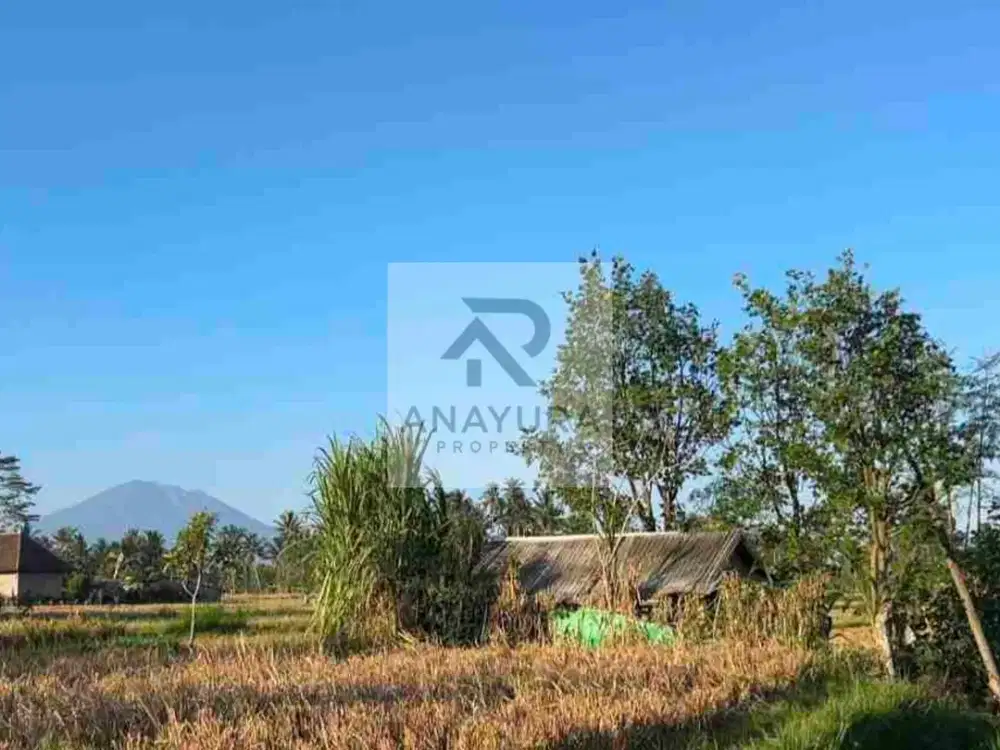 Tanah Pejeng Kangin Dekat Ubud