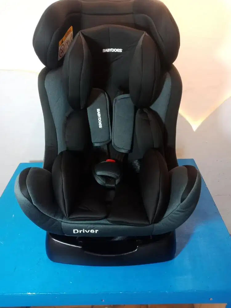 Carseat Babydoes Driver