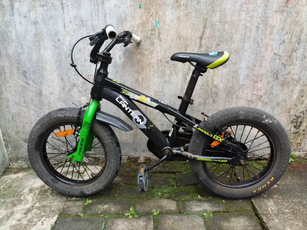 Seeda BMX Pacific UMAGA GX