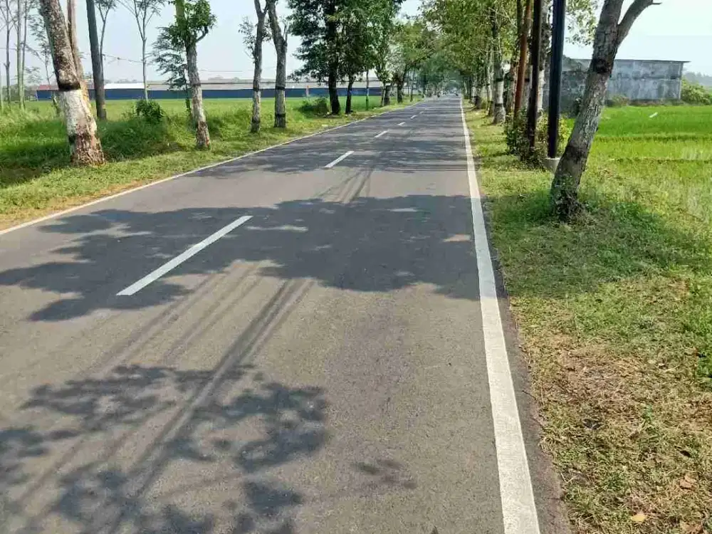 tanah sawah stratwgis untuk masa depan jalan propinsi