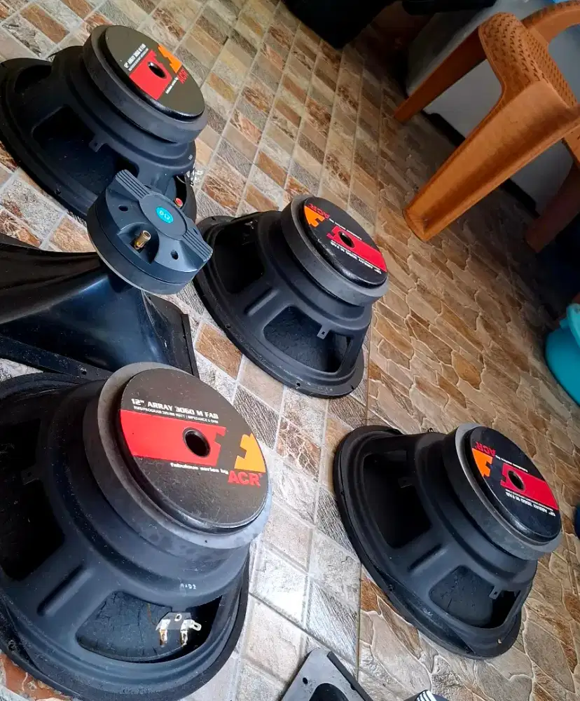 Speaker ACR Fabulous Series by ARRAY 3060 M FAB 12 inch