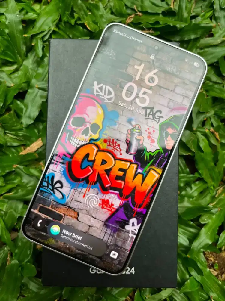 samsung s24 256