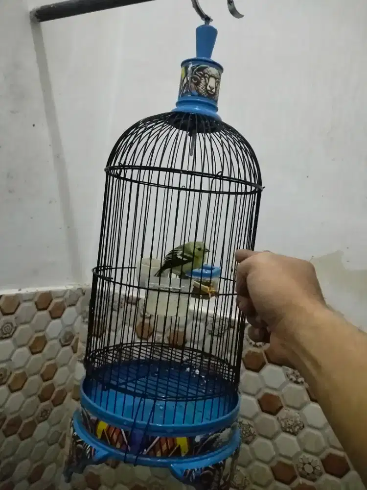 Sirpu lepas loloh