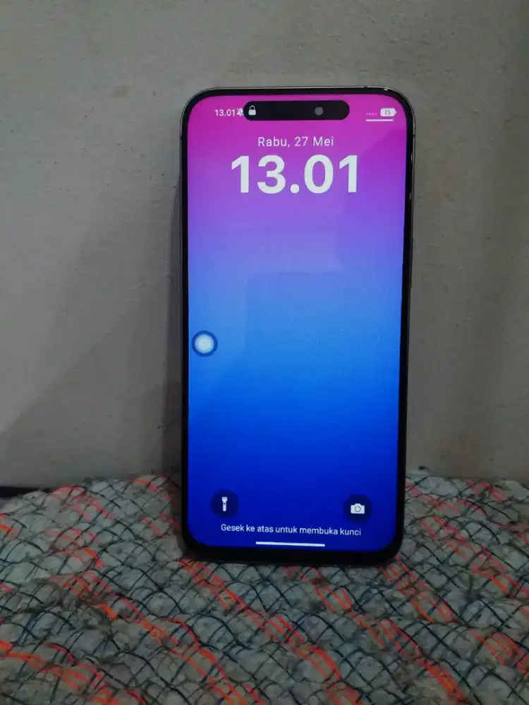 JUAL CEPAT AYIPON MABELAS PROMAG!!